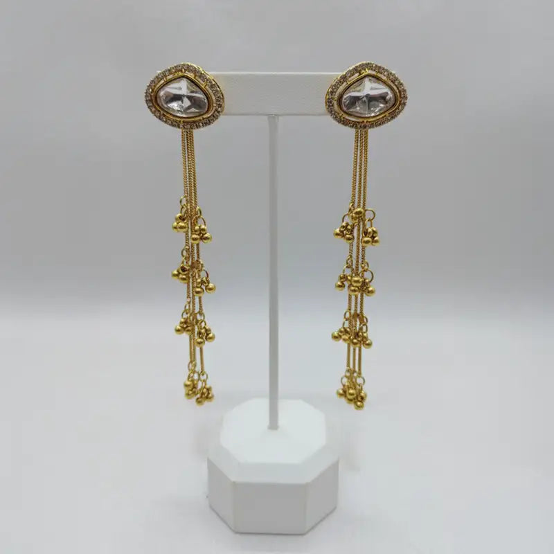 Aarushi Kashmiri Long Earrings