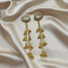 Aarushi Kashmiri Long Earrings
